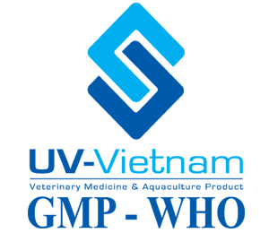UV Vietnam 51 UV Vietnam